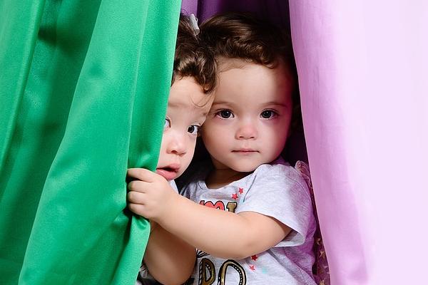 各省份代孕差异