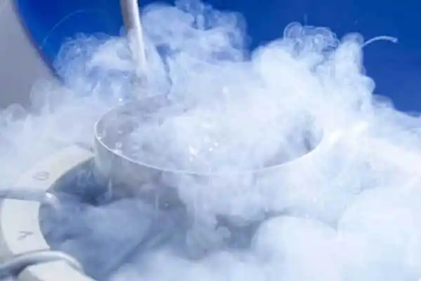 胚胎质量的评估与挑选