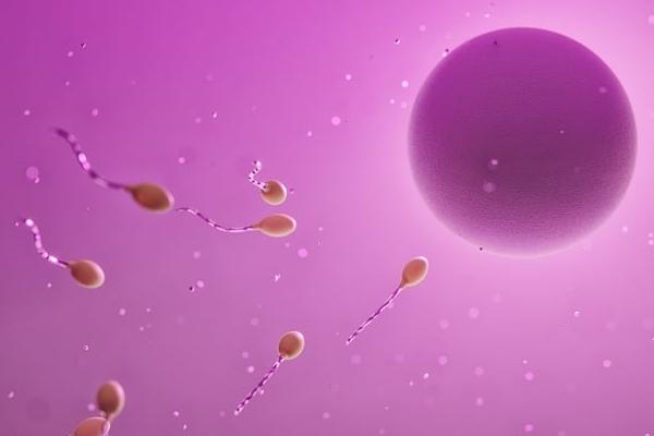 自卵代孕有年龄限制