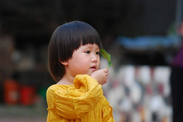 代孕孩子能不能正常读书，关键取决于哪三件事？