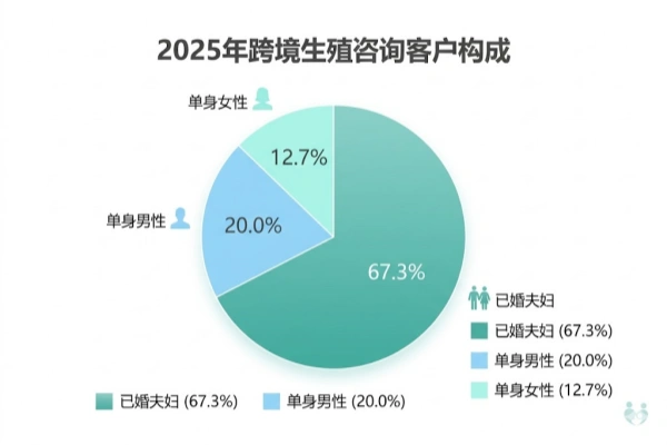 哪些国家允许单身人士合法代孕